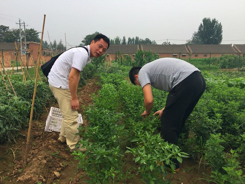 好利來郭總喊您來摘菜啦！綠色無公害，放心！